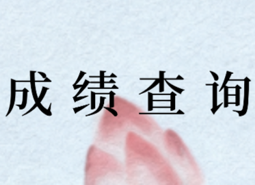 2020年湖北稅務(wù)師考試成績查詢?nèi)肟? width=