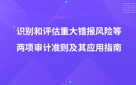 識別和評估重大錯報風(fēng)險等兩項審計準(zhǔn)則及其應(yīng)用指南（修訂）