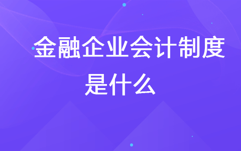 金融企業(yè)會(huì)計(jì)制度是什么