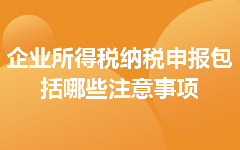 企業(yè)所得稅納稅申報(bào)包括哪些注意事項(xiàng)